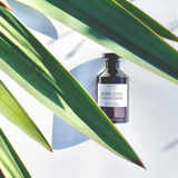 AEMIUM - Silence Des Calanques - Eau de Parfum 100ml Spray