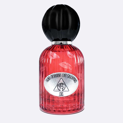 LES FOLIES DU PARFUM - BX - Eau de Parfum 100ml Spray