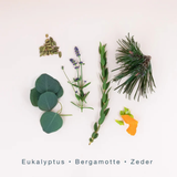 SCENTORIE. - Clean Fragrance Candle - West Beach 300gr.