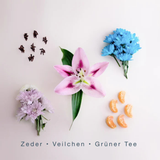 SCENTORIE. - Clean Fragrance Candle - Bali Vibes 300gr.