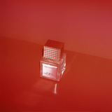 DISCOTHÈQUE - All Night Until First Light - Eau de Parfum 50ml Spray