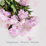 SCENTORIE. - Clean Fragrance Candle - Love Artist 300gr.